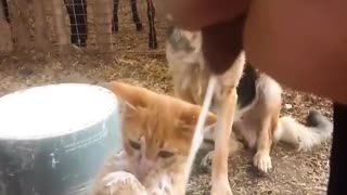 😂📦 You Won't Believe How This Delivery Ends! | FunFM