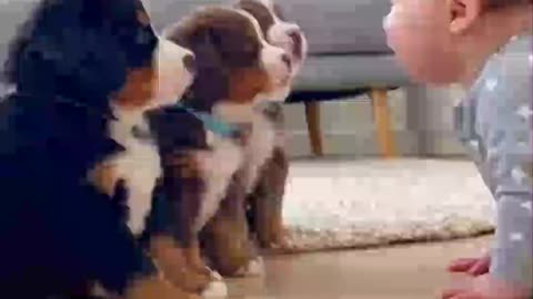 Baby in Charge 😂🐾 Puppy Awaits Orders!