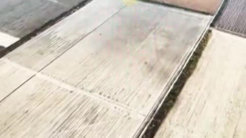 💥🛸 Ukraine Russia War | Ukrainian Troops Down Enemy UAVs | RCF