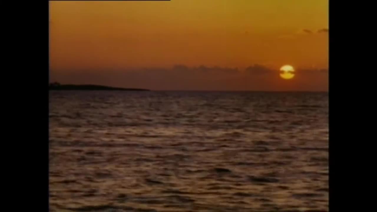 Jaws The Revenge【1987 film】Trailers