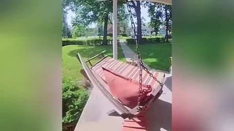 🤣🤣🤣Try Not to Laugh - Insane Funny Fails Compilation🤣🤣🤣