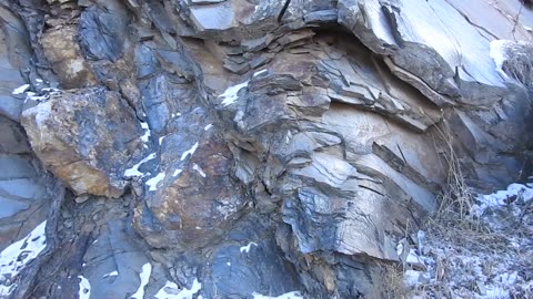 Restes d'arbres bibliques, nouvelle série partie 3