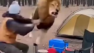 Someone has a sense of humor