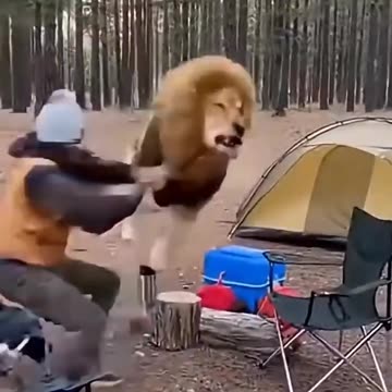 Someone has a sense of humor