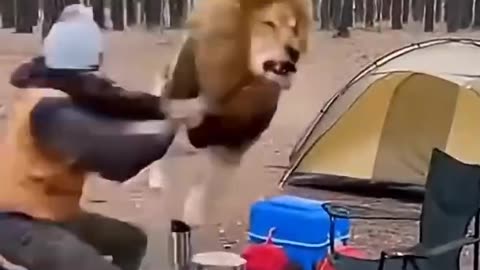 Someone has a sense of humor