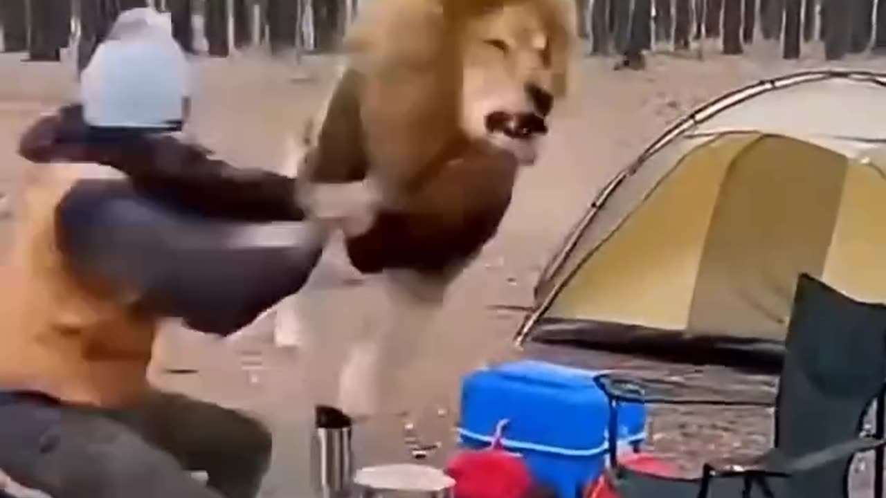 Someone has a sense of humor