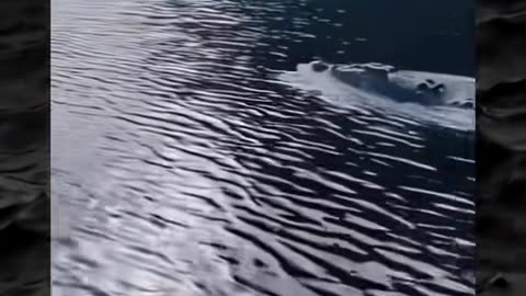 😨👻 You Won't Believe What They Caught on Camera! Paranormal | TheHauntingHour