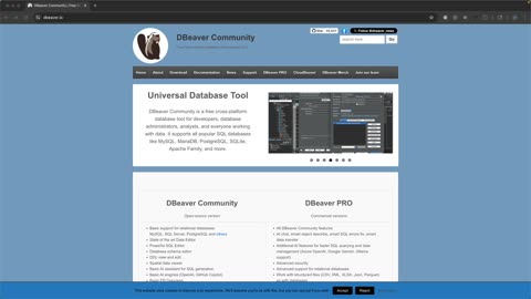 DBeaver MySQL "Public key retrieval is not allowed" Error SOLVED