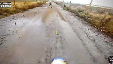 They Thought They Were Safe Underneath the Protective Netting