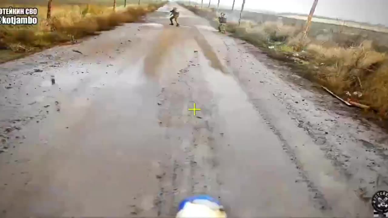 They Thought They Were Safe Underneath the Protective Netting