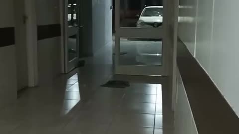 Face appears inside a car in an argentinian hospital.
