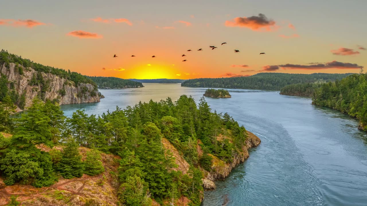 Neptune ♓️ Planet Frequencies Connection 💫