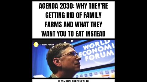 COMPILATION OF THINGS TO MAKE YOU MOSTLY GO "OH DO PHUCK OFF" #980 💣