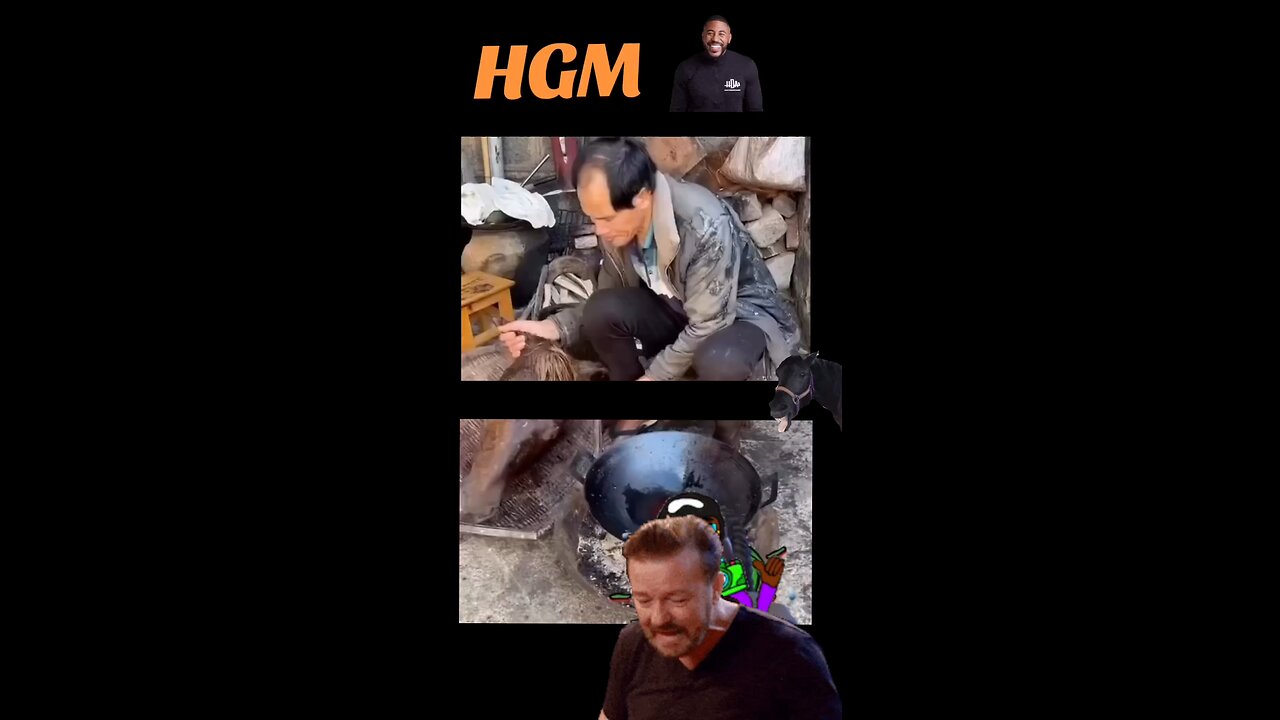 Dabrand hgm knows show