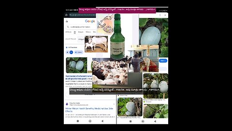 వెయ్యి ఆవులు చంపిన (గోవధ) ఇచ్చే పనిష్మెంట్ .. may be.. ఆవు మూత్రం తాగుడు _+తాగడం+_