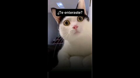 Ya conocías mis promociones?