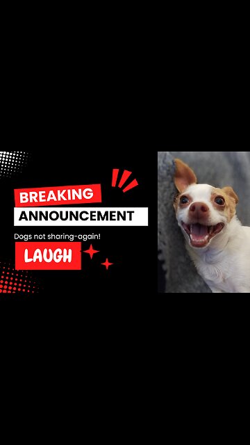 You're in my Spot! 🤣