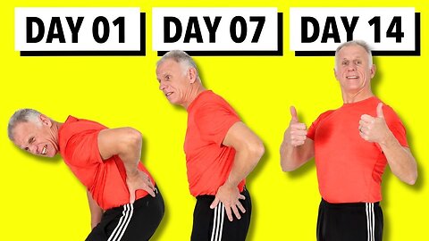 14 Day Back Pain Reset Program