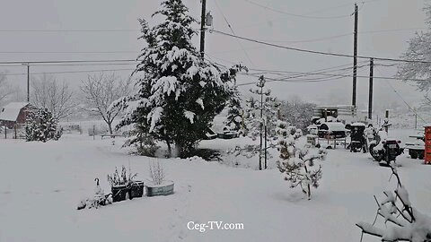 Graham Family Farm: Snowing - 7:45 AM February 19 2025