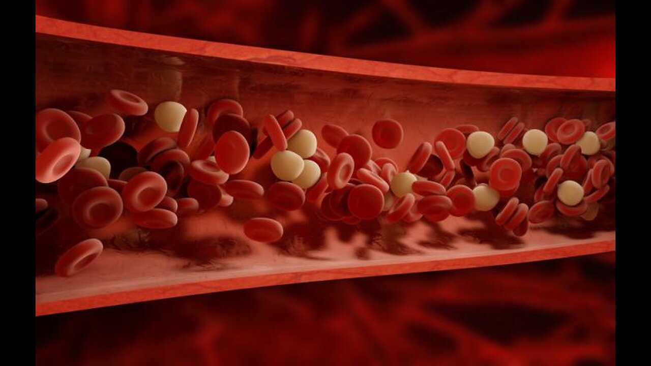 Kate Shemirani: "Sticky Blood" - What's Causing It & What You Can Do About It