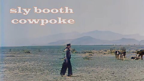 SLY BOOTH COWPOKE
