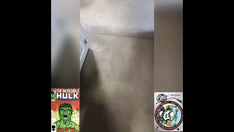 Flea Market Hunting Record Digging Comic picking