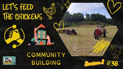 Community Building | Let's Feed the Chickens | E38