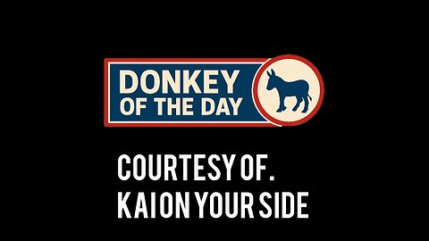 Donkey Of The Day
