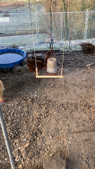 Monday Morning Update 10Mar25