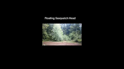 Floating Sasquatch Head Analysis