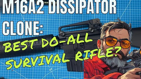 M16A2 Dissipator clone. Best do all survival rifle?