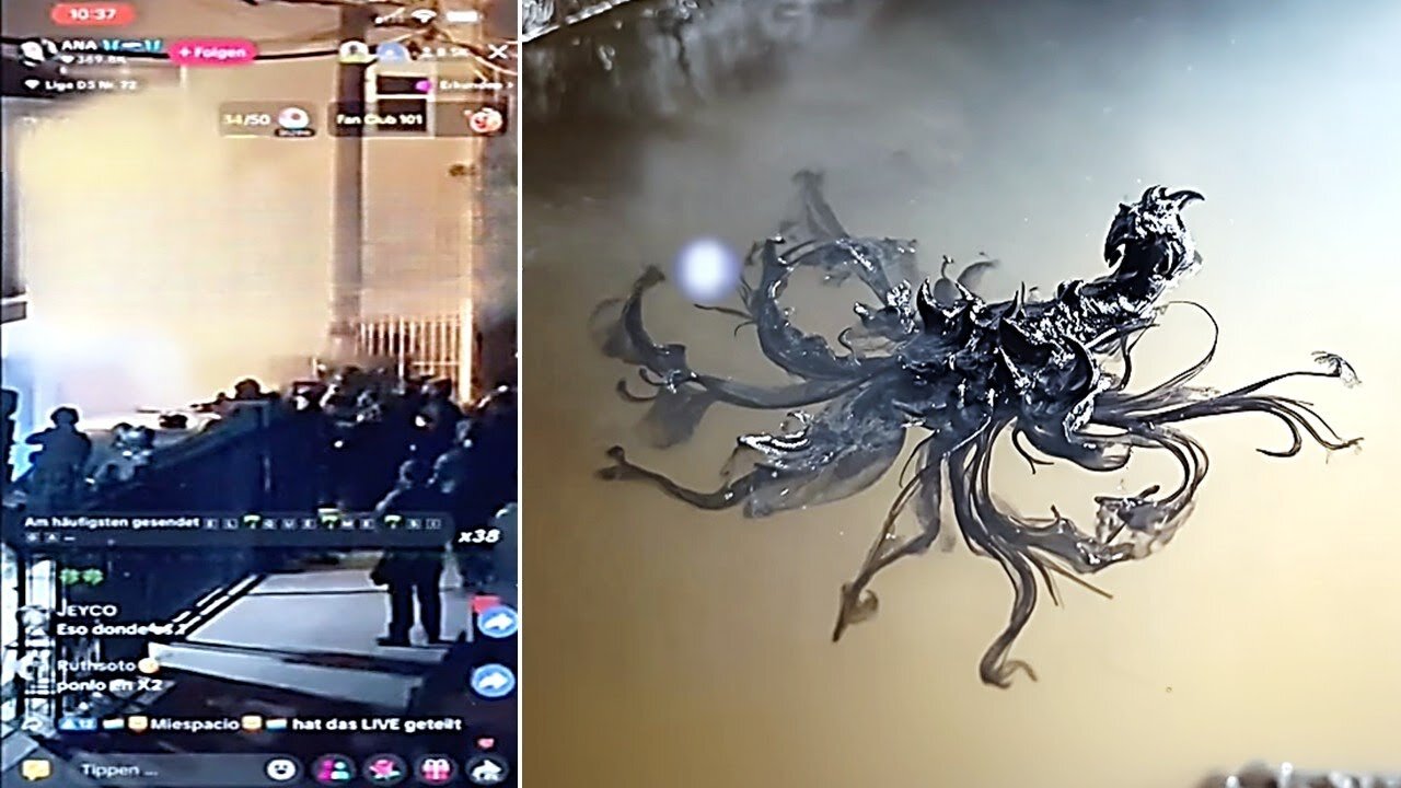 Man Gives Chilling Update On The Alien Entity In Panama "They Just Swatted Him"
