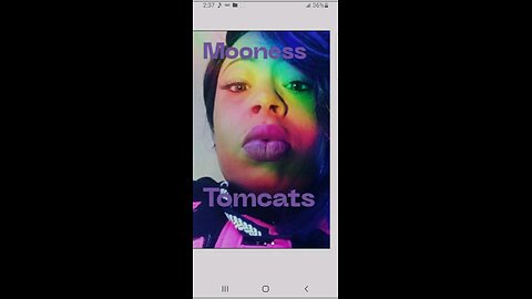 Melgunz Da Realist - Tomi K Presents Tomcats 😻 Mooness Speaking Freestyle 2025 (TIP Diss)
