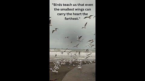 beach motivation