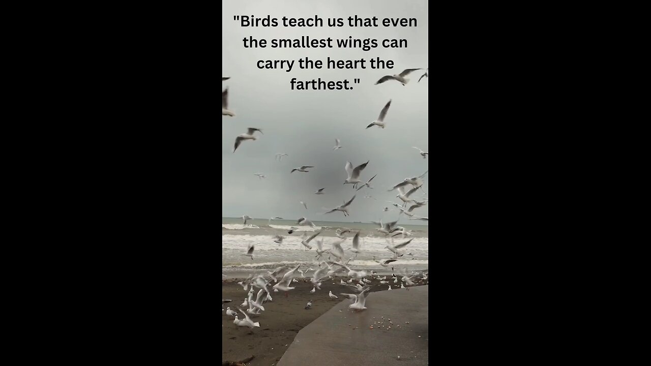 beach motivation