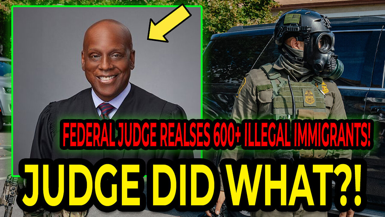 Federal Judge Prepares To Release Illegal Immigrants "Back Into Chicago!