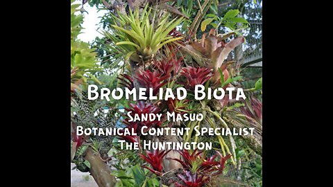 Bromeliad Biota