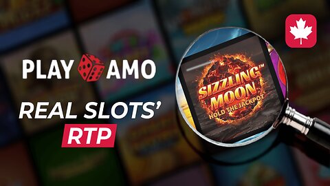 Real RTP and Playamo Casino's Review