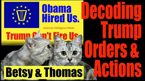 AIM4TRUTH Decodes Trump's New Executive Orders. E.O. S.E.S. Defanged? They're Back 1-21-2024