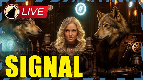 🐺 Bitcoin Returns Increasing 🐺🚨LIVESTREAM🚨