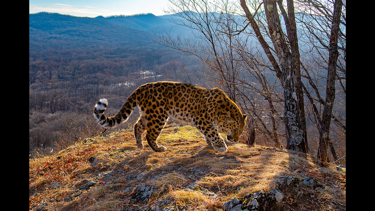 Inland Visions | Russia’s Far East: Walk on the Wild Side