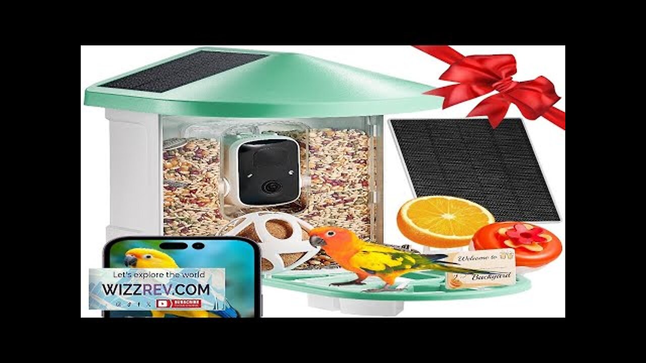 VEVOR Smart Bird Feeder with Camera AI Identify 10000+ Bird Specie Solar-Powered Review