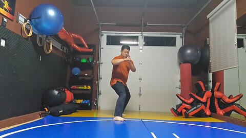 WTD 2 Step Kick Combination 186