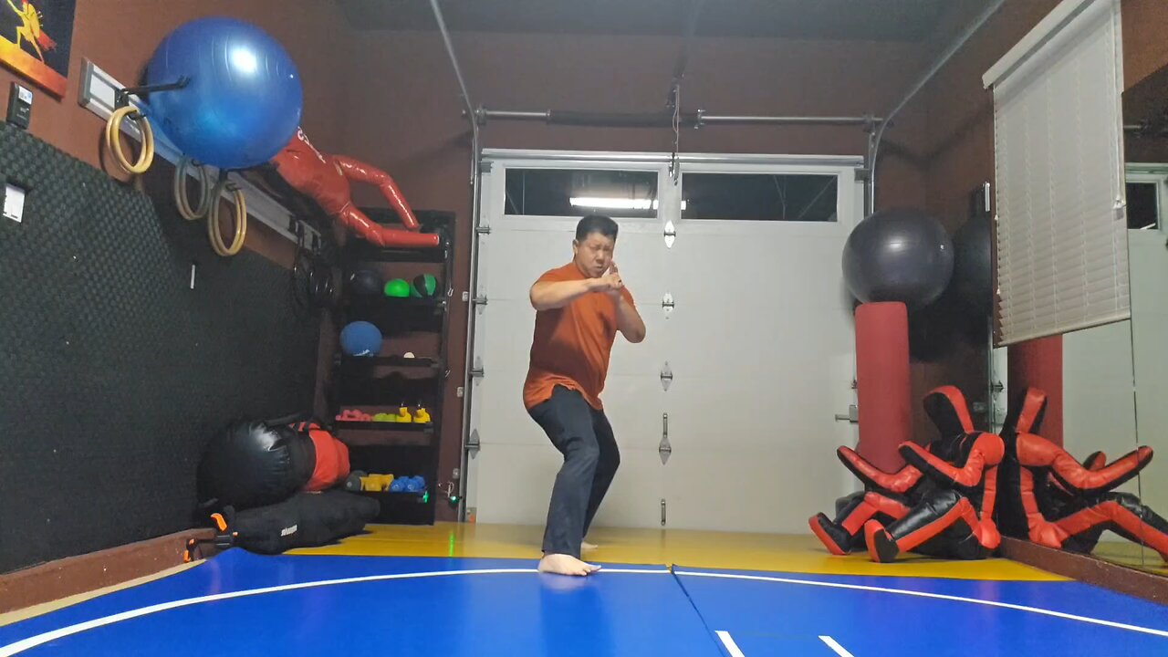 WTD 2 Step Kick Combination 186