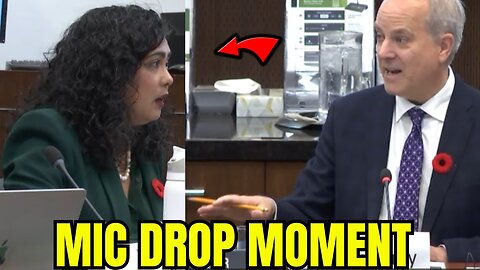 Liberal MP FREAKS OUT And Gets SHUT DOWN Instantly In Committee