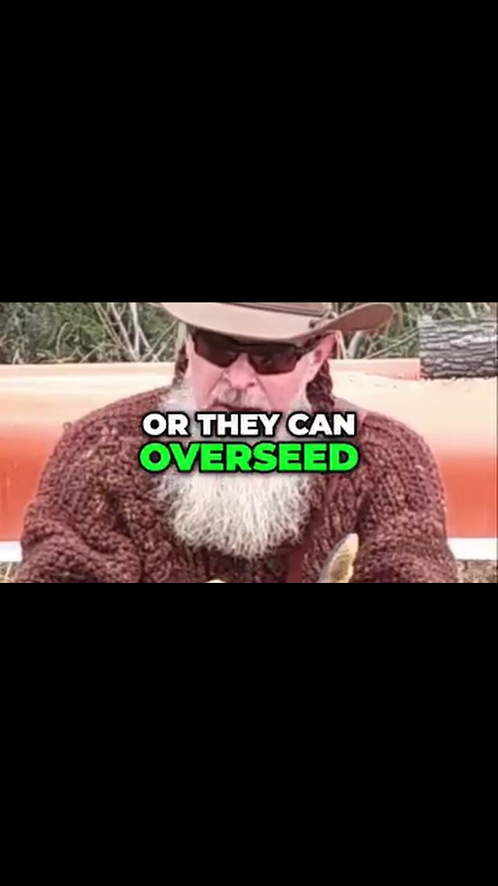 Alaska Sky Watcher | Chemtrails Exposed: Uncovering the manipulation of our skies