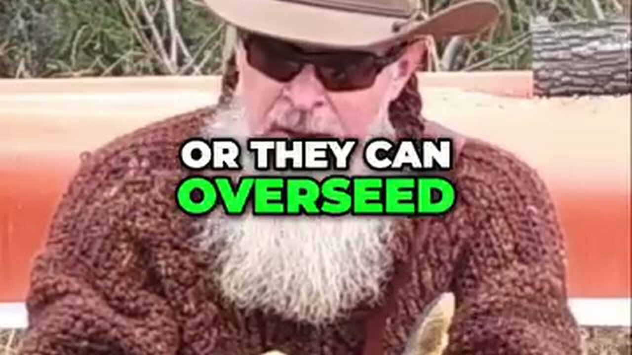 Alaska Sky Watcher | Chemtrails Exposed: Uncovering the manipulation of our skies