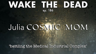 WTD ep.186 Julia Cosmic Mom 'battling the Medical Industrial Complex'