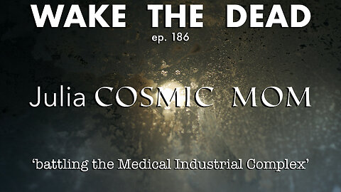 WTD ep.186 Julia Cosmic Mom 'battling the Medical Industrial Complex'