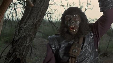 Monday Night Feature